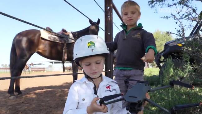 SkyKelpie musters cattle with drones