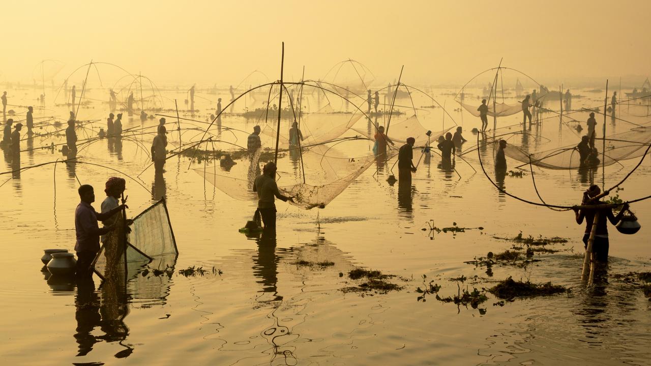 Fishermen use bamboo traps in knee-deep water as they take part in a traditional fishing festival in Pabna, Bangladesh. Picture: Joy Saha