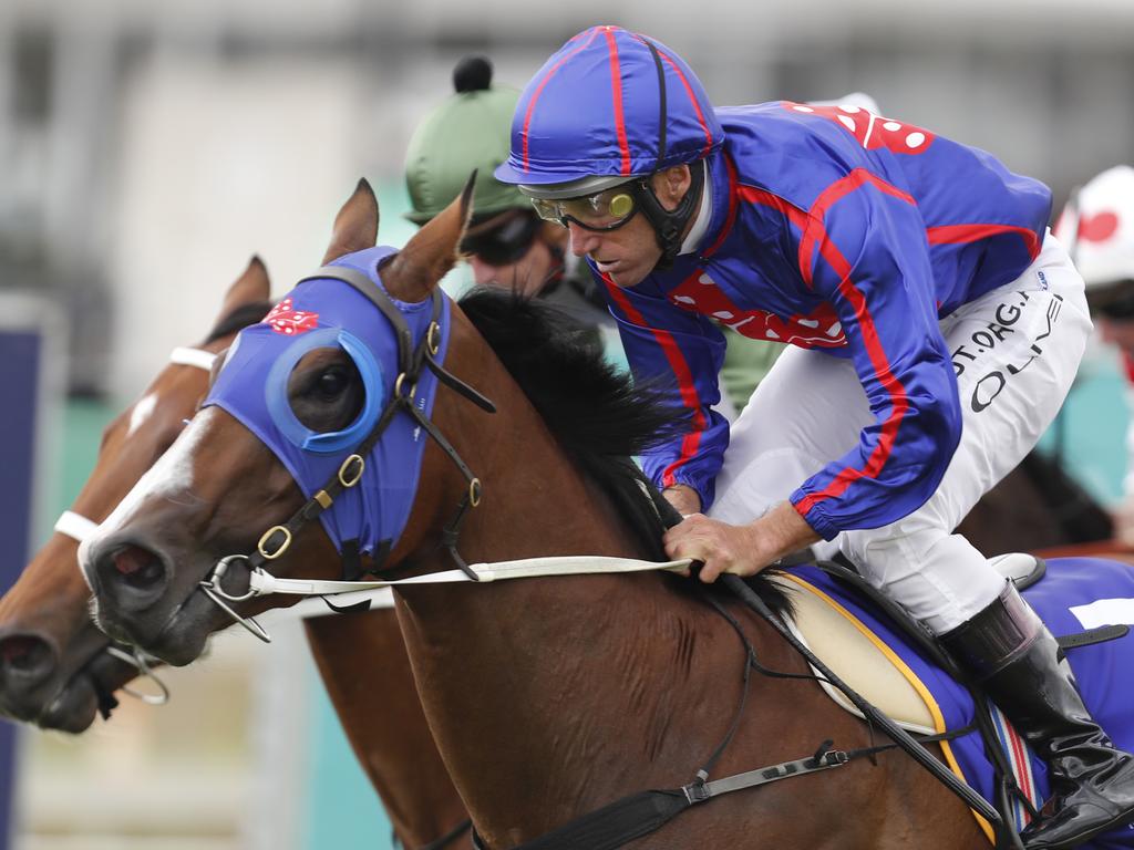 Damien Oliver pilots He’ll Hunt Us to victory in the Magic Millions Maiden Plate.