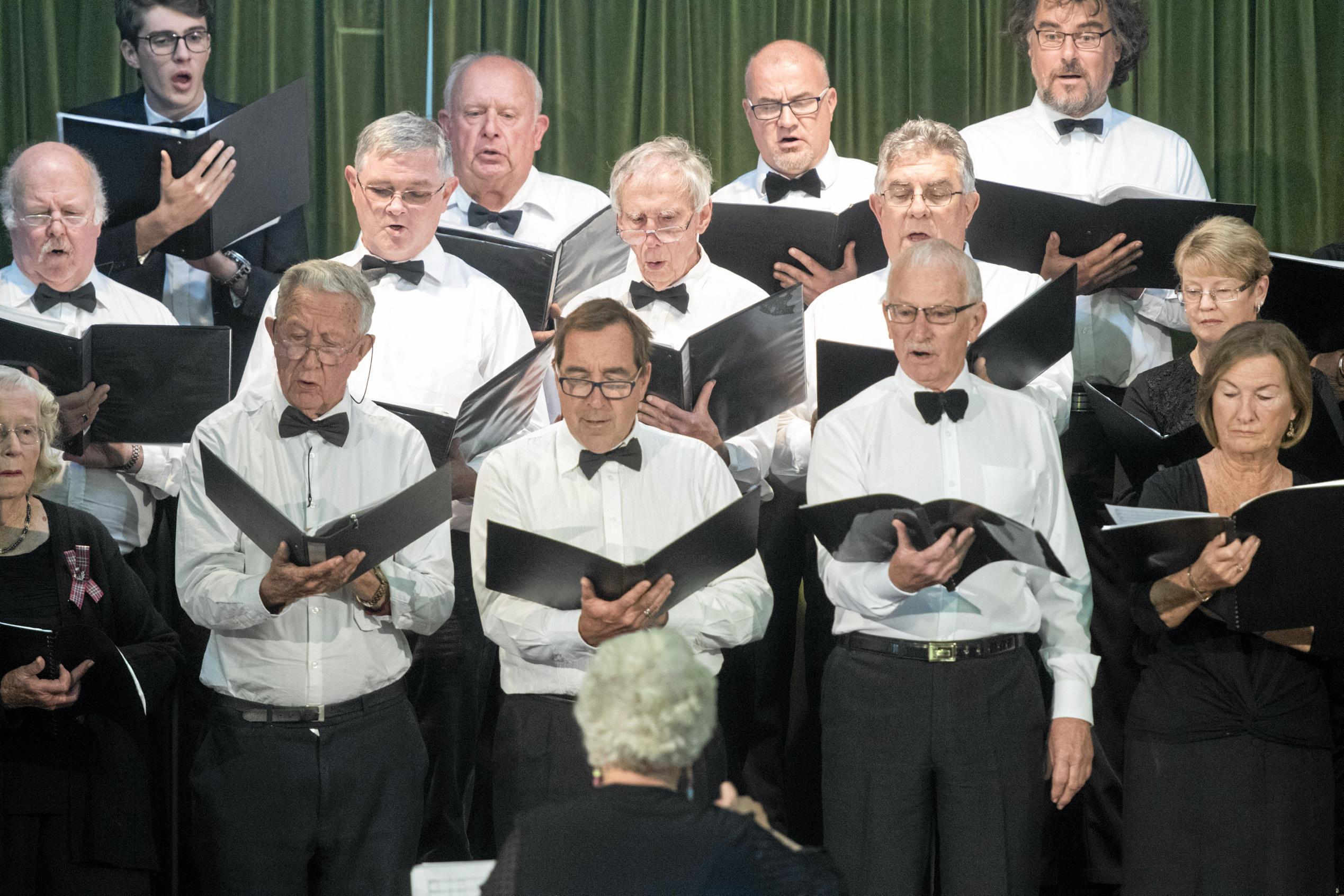 Lower Clarence Music Eisteddfod | Daily Telegraph