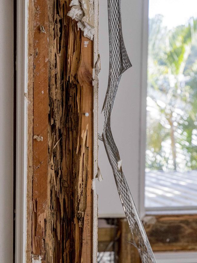 Almost every wall in this Elanora home has been infested by termites. Picture: Jerad Williams