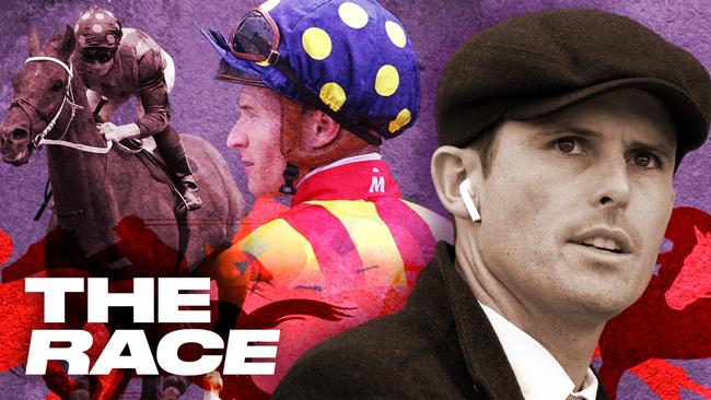 The stallion factory - breeding a horse worth $50 million