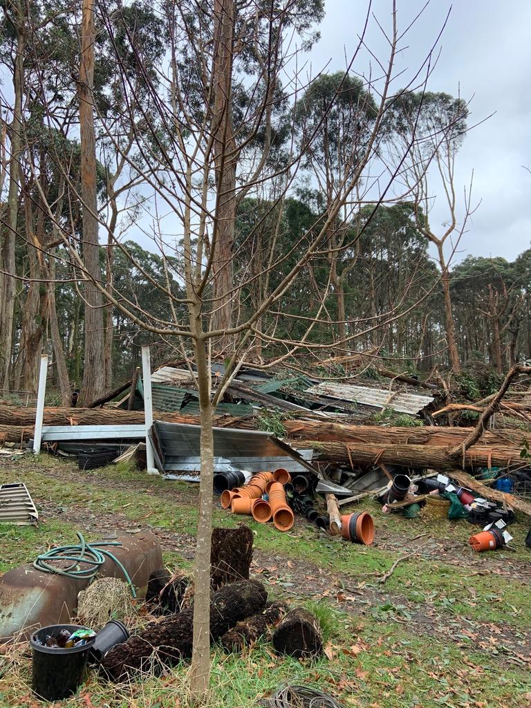 Property damaged by falling trees on Fern Rd, Lyonville. Picture: Merrilyn Hunt