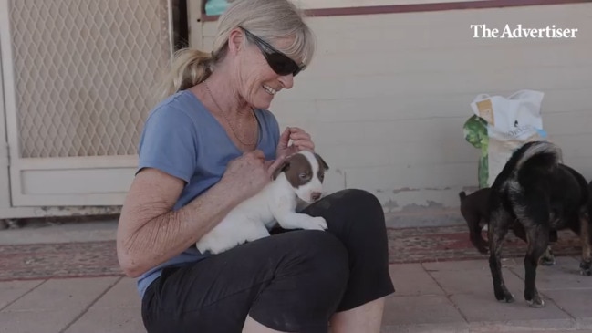 Coober Pedy Second Chance Animals