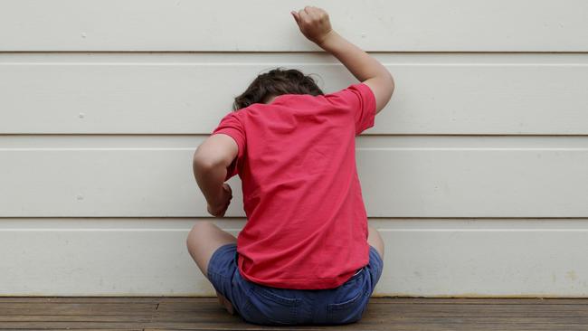 Senator Pauline Hanson says parents and teachers have raised the issue of children with disabilities or autism in mainstream classrooms.