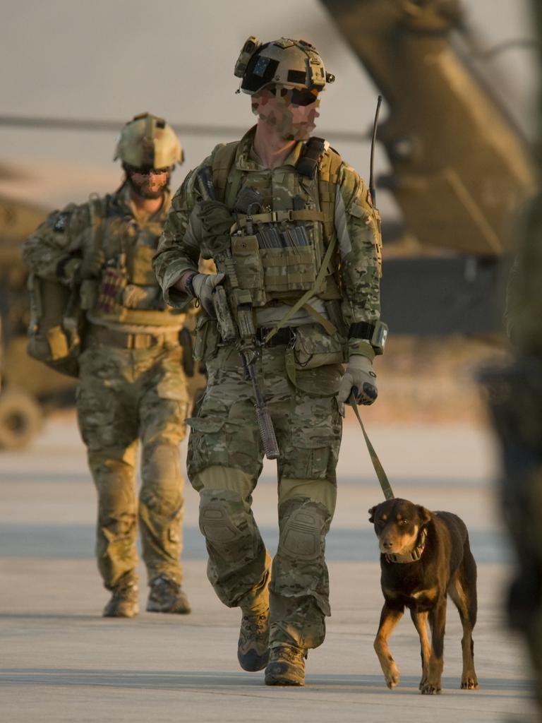 Special Forces used dogs extensively in the Middle East and regionally to sniff out weapons and explosives. Picture: Supplied