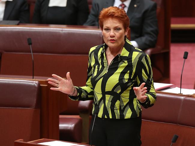 Senator Pauline Hanson’s support was crucial for the Turnbull Government to pass its so-called Gonski 2.0 reforms. Picture: Kym Smith