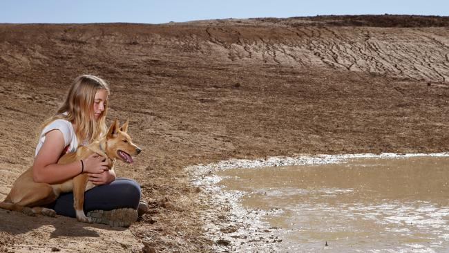 Charlotte Darcy, 15, with the family dog J on their farm in Tullamore at one of their many empty dams. Picture: Jonathan Ng