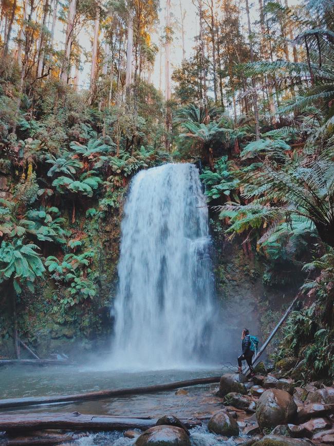 Beauchamp Falls is pumping after heavy rainfall this winter. Picture: Eliza Sum