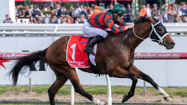 The Autumn Sun’s Caulfield Guineas win was leg two of the monster multi. Picture: Jay Town