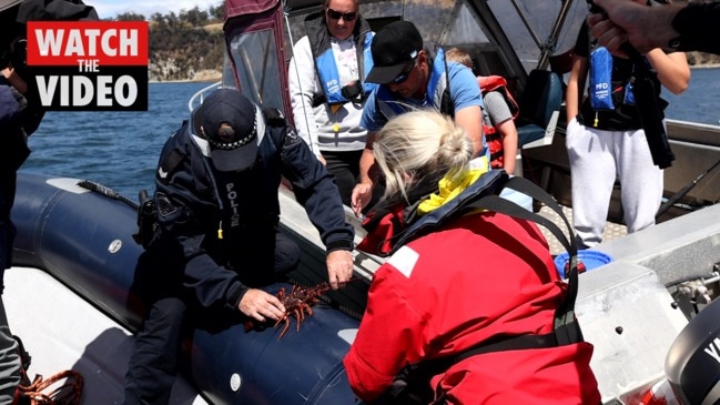 Ridealong with the Tasmanian Police Marine and Rescue Services