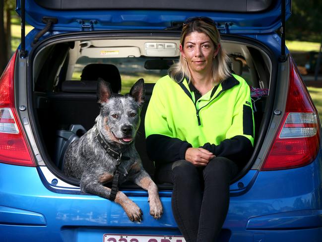 Jessica  Pomerenke is sleeping in her car with her three dogs Koda (pictured), Summer and Boffa after struggling for months to find a rental in the Greater Brisbane areaToowong Thursday 22nd July 2021 Picture David Clark