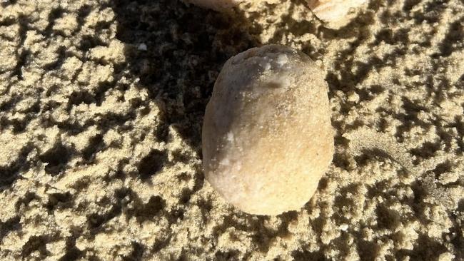 "Foul-smelling chunks" wash up on Verona Sands Beach. Picture: Neighbours of Fish Farming.