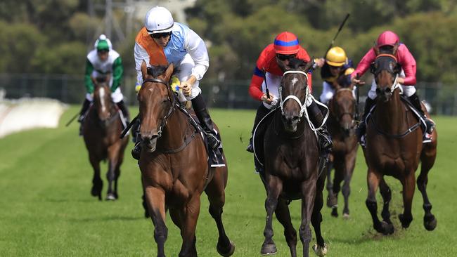 Classy mare Montefilia can take out the Hill Stakes. Picture: Getty Images