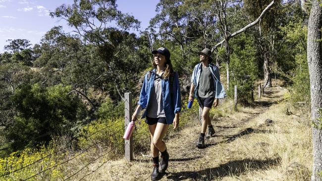 Enjoy walking trails at Budj Bim camping ground. Picture: Parks Vic