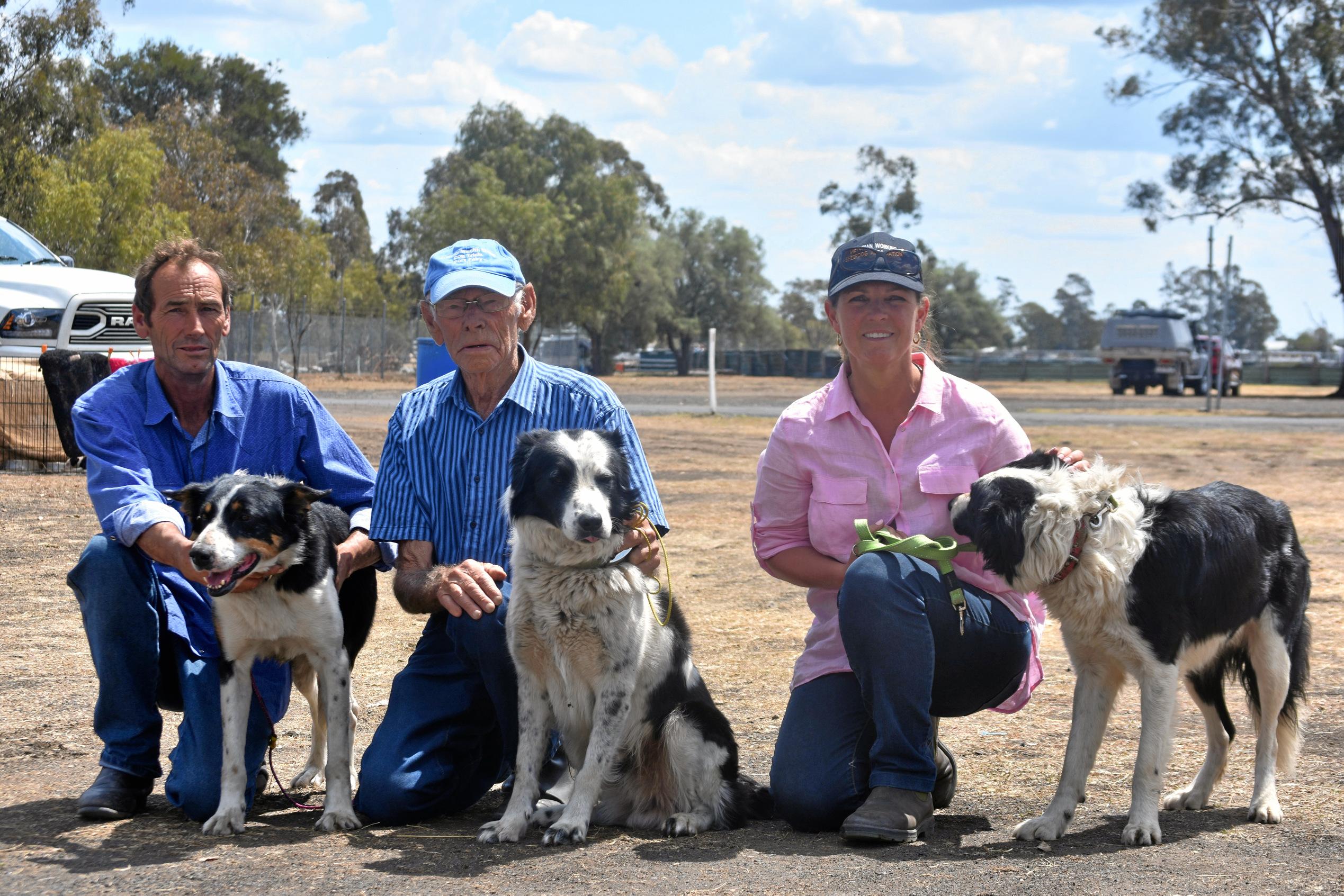 Ken Robinson with Lindsay's Tiger, George Lane with Lindsay's Dan, and Michelle Griffiths with Sunvale George. Picture: Meg Gannon