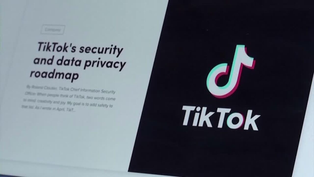 ByteDance, TikTok seek temporary halt to US ban