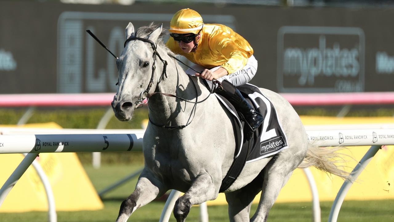 Bois D'argent winning the JRA Plate at Randwick on Saturday. Picture: Jeremy Ng/Getty Images