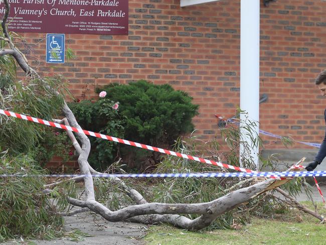 A tree has fallen on a school property in Melbourne's southeast this afternoon, leaving a young child in a critical condition. Paramedics have confirmed they are treating three people including one child near Brisbane Terrace in Parkdale. The young girl is being treated for head injuries and is being taken to the Royal Children's hospital by road ambulance. Two other patients are being treated for their injuries.   Picture: Alex Coppel.