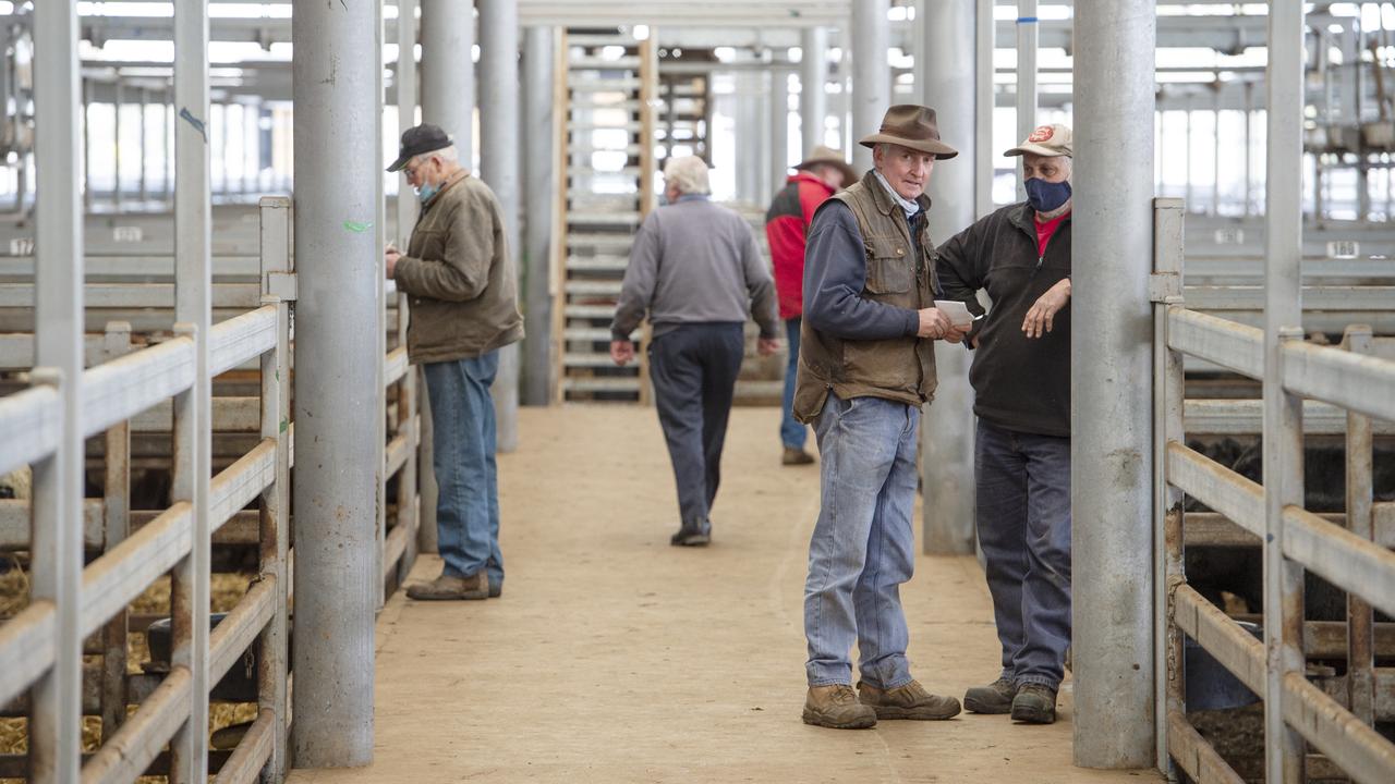 A mixed bag at Victorian saleyards