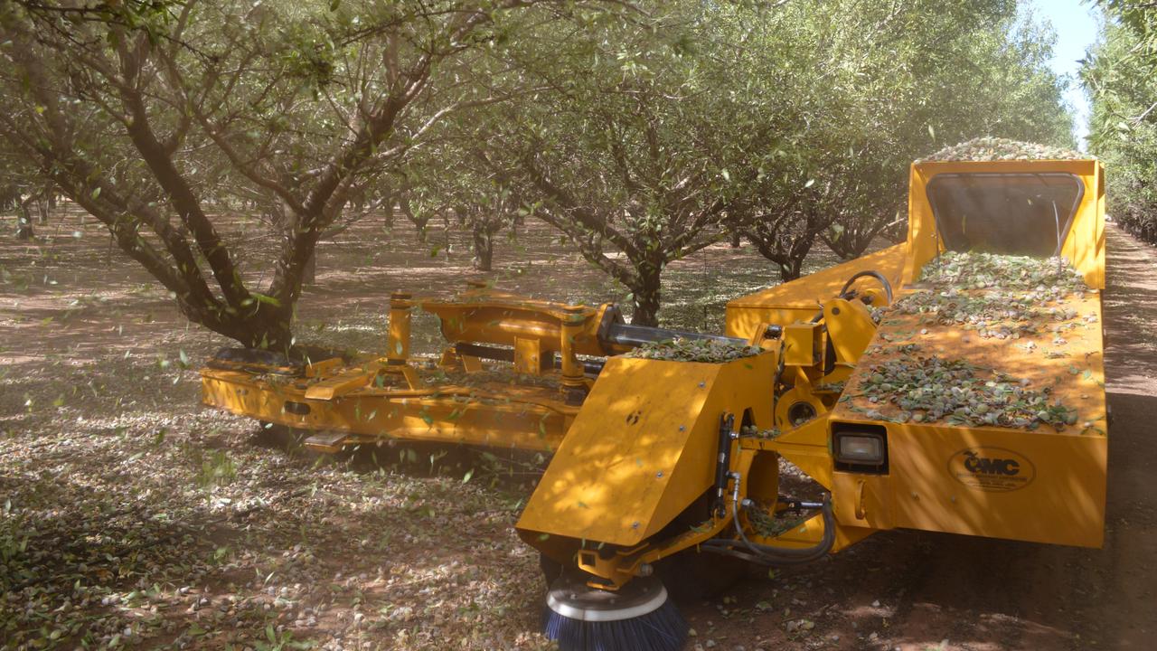 Select Harvest profits fall 40pc on back of record US almond crop and ...