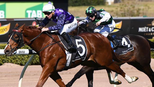Shogun Sun is great each-way value in the Golden Rose.