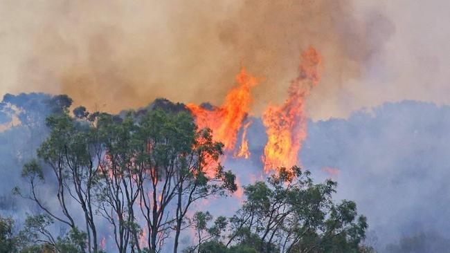 Bushfire Beacon Hill | Daily Telegraph