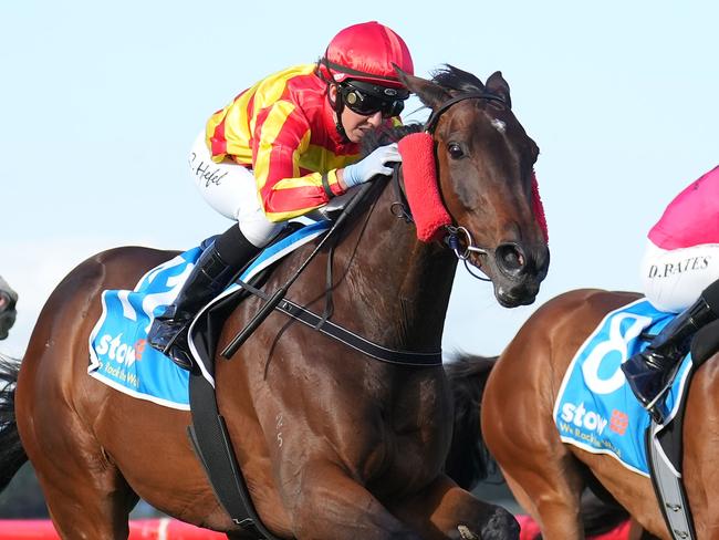 Rick's Cafe ridden by Carleen Hefel wins the Stow Storage Solutions Handicap  at Ladbrokes Park Hillside Racecourse on December 07, 2022 in Springvale, Australia. (Photo by Scott Barbour/Racing Photos)