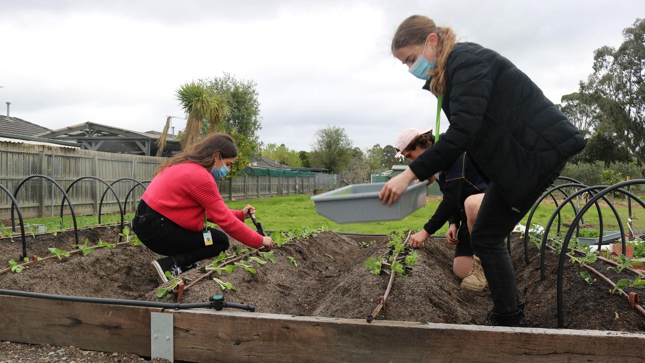 Alysha and fellow workers prepare vegetable beds as part of the Flourish program, which teaches schools how to grow and harvest vegetables for people in need.