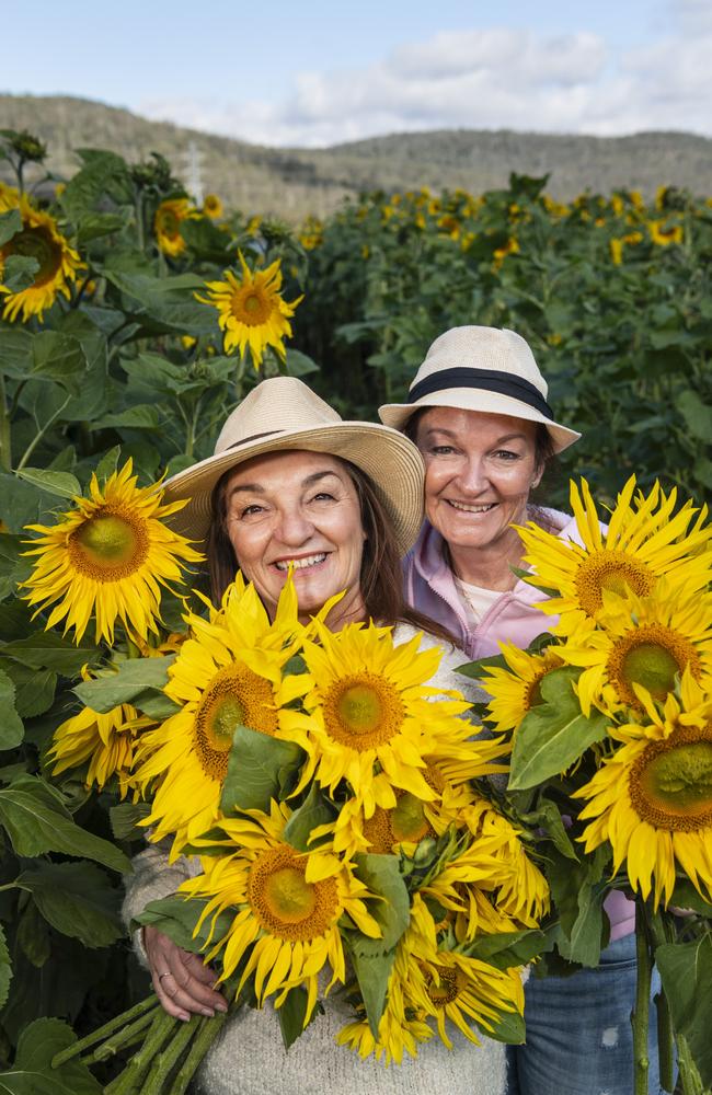 Vicki Lennox (left) and Natalie Beith at the picnic with the sunflowers event hosted by Ten Chain Farm, Saturday, June 8, 2024. Picture: Kevin Farmer