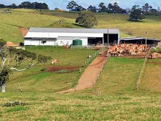 Maleny Dairies. Picture: Greg Miller