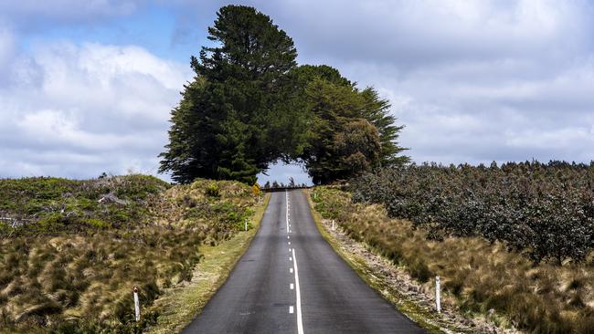 Murchison Highway on the way to Hellyer Gorge. Picture: Tourism Tasmania and Rob Burnett