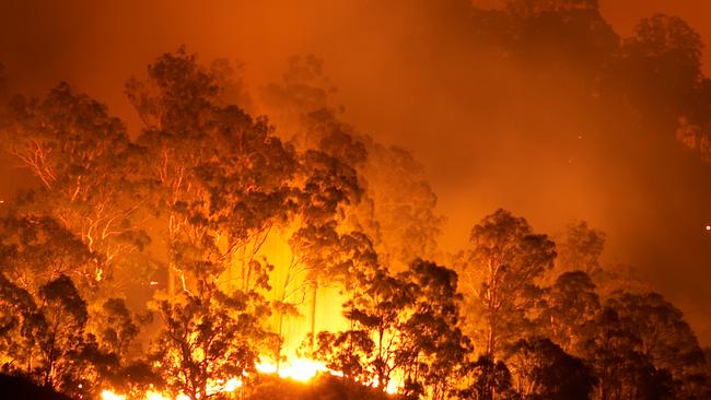 Emergency declaration revoked over Cooktown bushfire
