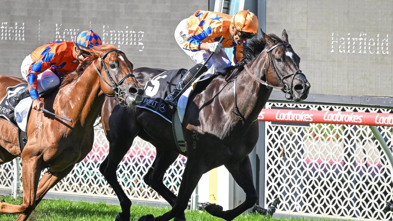 Imperatriz won four Group 1 races at The Valley, including the last two editions of the William Reid Stakes. Picture: Racing Photos via Getty Images