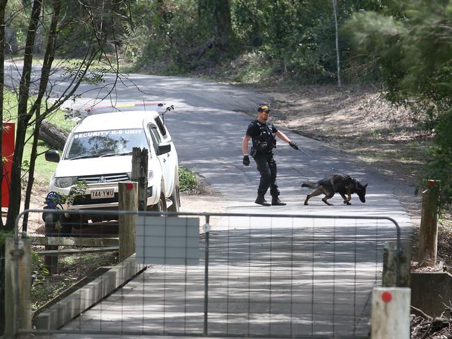 The 7.30 program relied on footage from the abattoir (above) in Caboolture, north of Brisbane. Picture: Jono Searle.