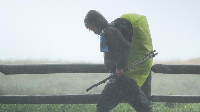 A hiker battles the conditions in Mona Vale. Picture: John Grainger