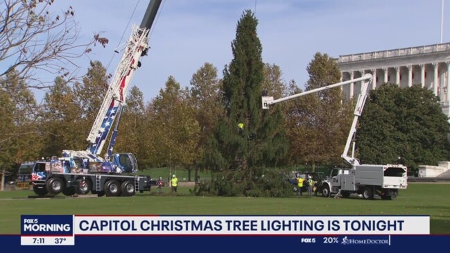 2023 US Capitol Christmas Tree Lighting Ceremony Keeps Tradition Alive ...