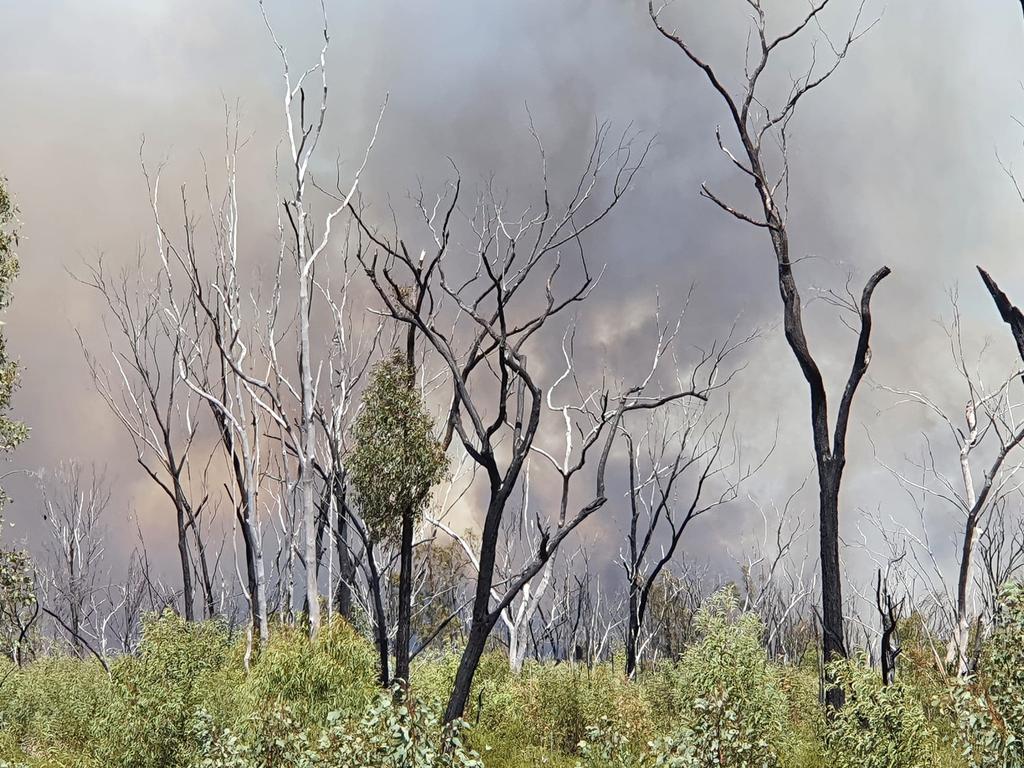 Fireys continue to battle a fast moving bushfire which commenced on November 18, 2023 in the Queensland town of The Pines, near Millmerran. Picture: supplied