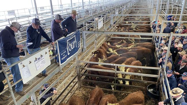Last week’s Wodonga store sale was described as solid, but competition was flat with little spirited bidding as buyers are cautious about restocking.