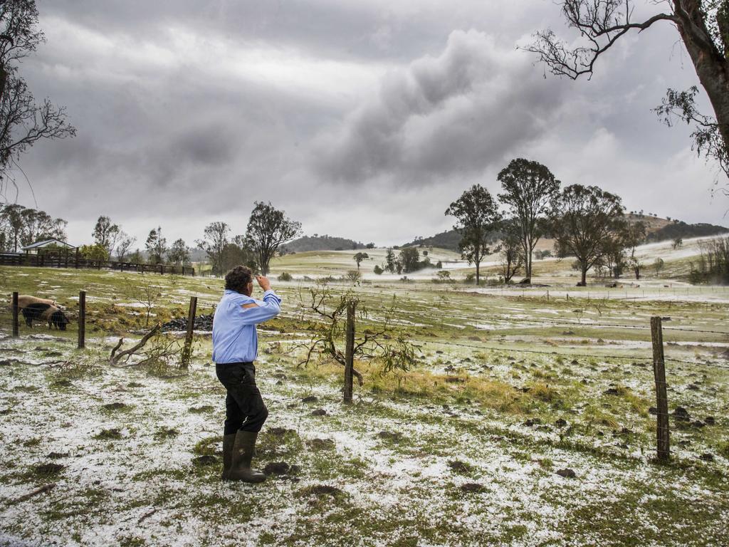 Farmer Dave Richardson stands in his paddocks that now resemble snowfields after being smashed with hail and destructive winds as a super cell storm tore through Long Flat south of Gympie. Photo Lachie Millard