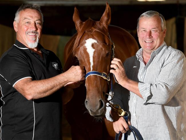 SA football legend Garry McIntosh and trainer Gordon Richards with their Group 1 Goodwood hope Gytrash at Richards' Morphettville stable. Picture: Tricia Watkinson