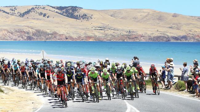 The Tour Down Under peloton makes its way around Snapper Point during last year’s race. Picture: Sarah Reed