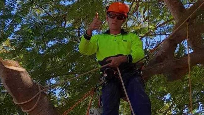 Martin Wheeler at work in his tree lopping business.