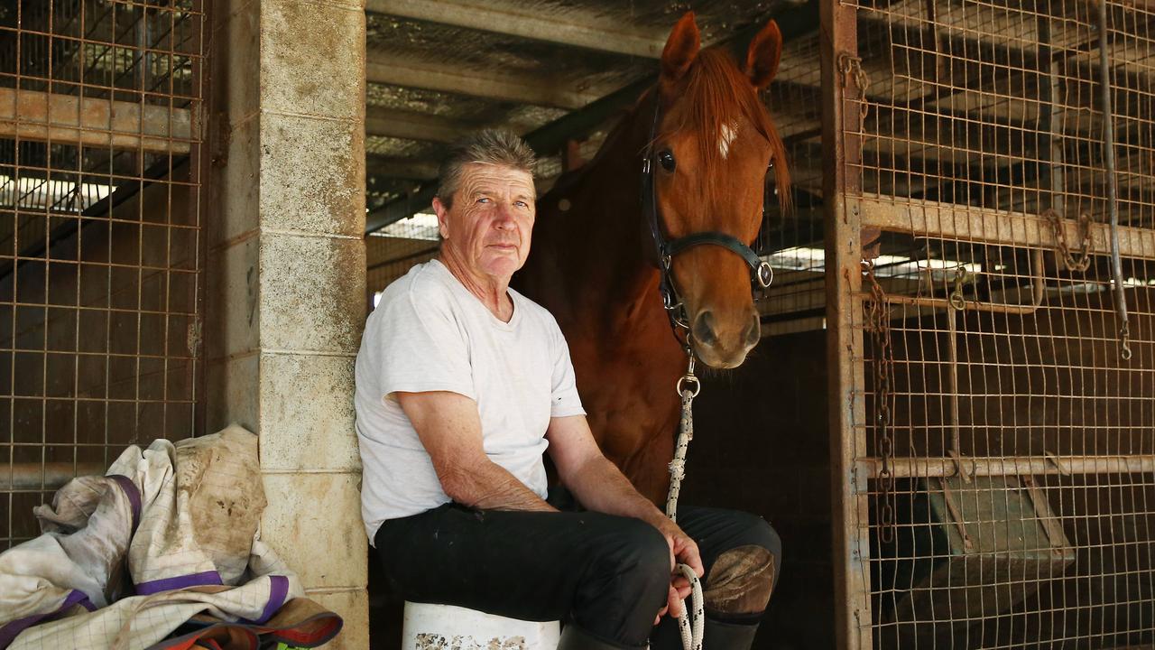 Tolga trainer Janel Ryan happy to be living the dream with Cairns ...