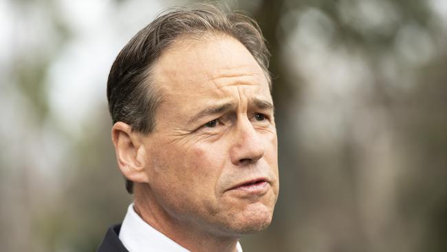 Greg Hunt’s strategy is aimed at building resilience in childhood. Picture: AAP/Ellen Smith