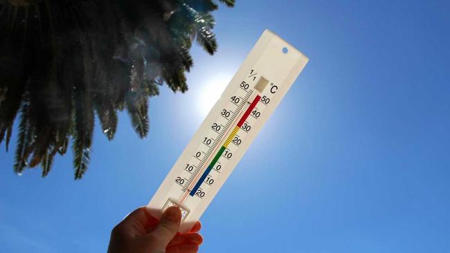 The Rose City was sizzling on Saturday.Photo: Erin Smith / Warwick Daily News. Picture: Erin Smith