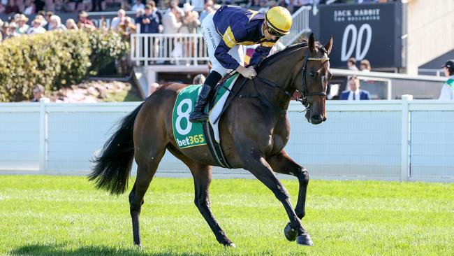 Emissary was impressive winning the Geelong Cup. Picture: George Sal–Racing Photos via Getty Images