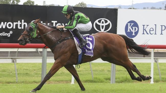 Magic Flyer looks hard to beat at Tamworth. Picture: Bradley Photos