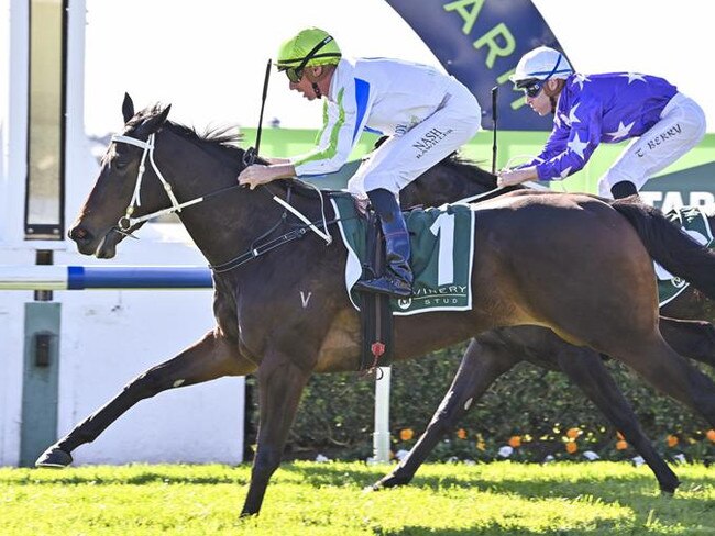 The Kristen Buchanan-trained Winning Proposal wins at Warwick Farm on June 26, 2024. Picture: Bradley Photos