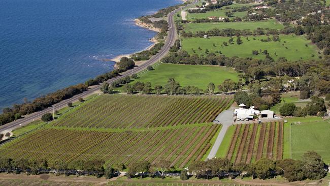 Boston Bay Wines, on the Eyre Peninsula. Picture: Supplied.